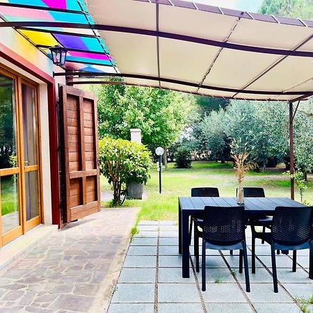 Agriturismo Salcino Grosseto Eksteriør billede