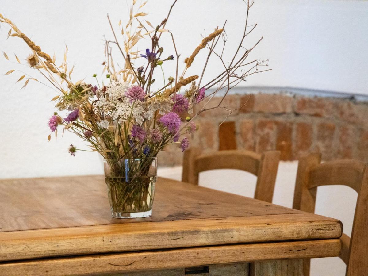 Agriturismo Salcino Grosseto Eksteriør billede