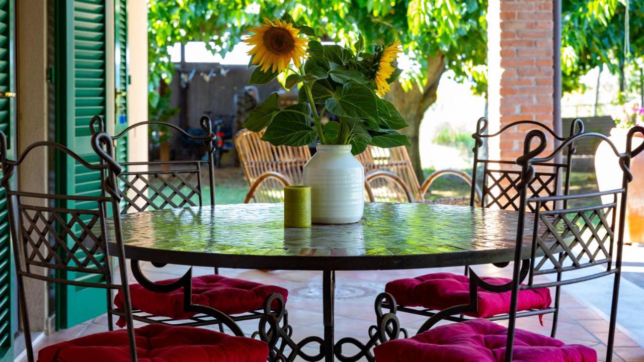 Agriturismo Salcino Grosseto Eksteriør billede