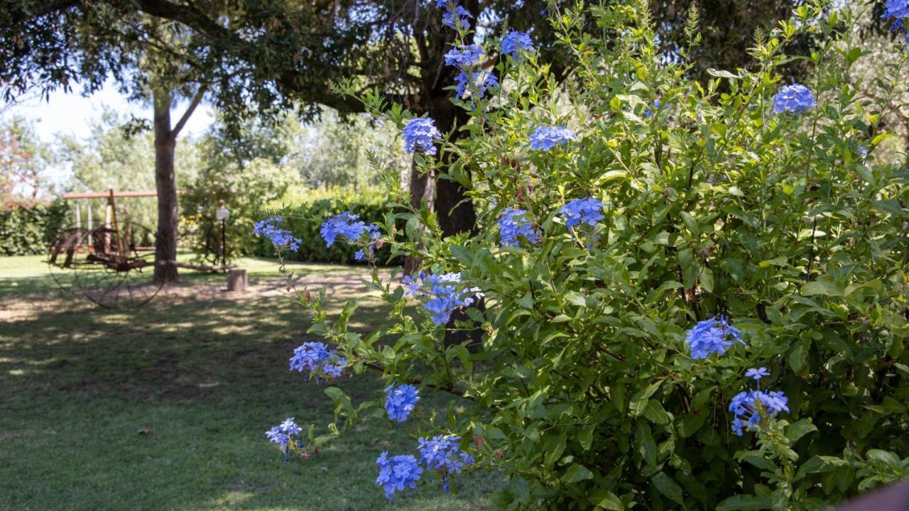 Agriturismo Salcino Grosseto Eksteriør billede