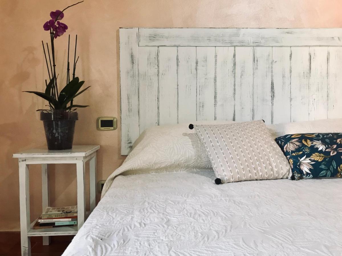 Agriturismo Salcino Grosseto Eksteriør billede
