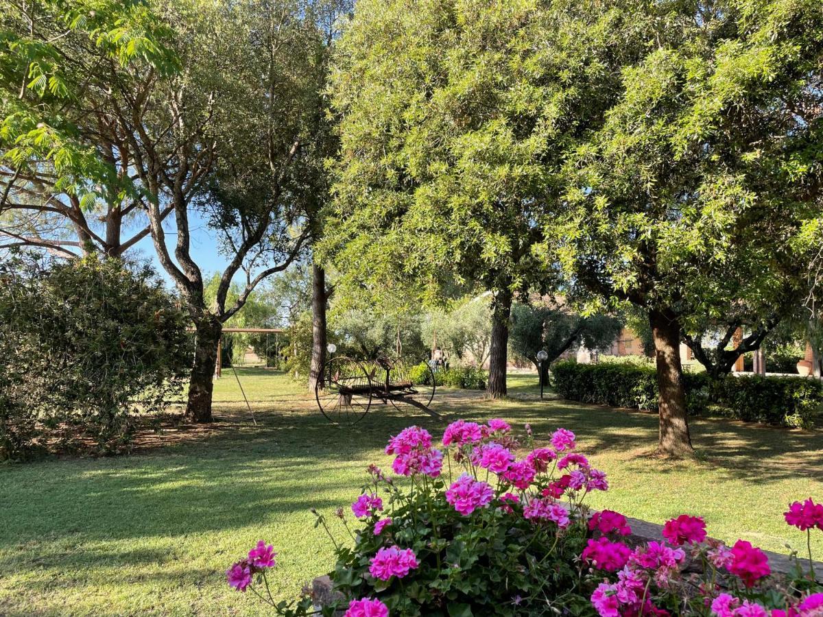 Agriturismo Salcino Grosseto Eksteriør billede