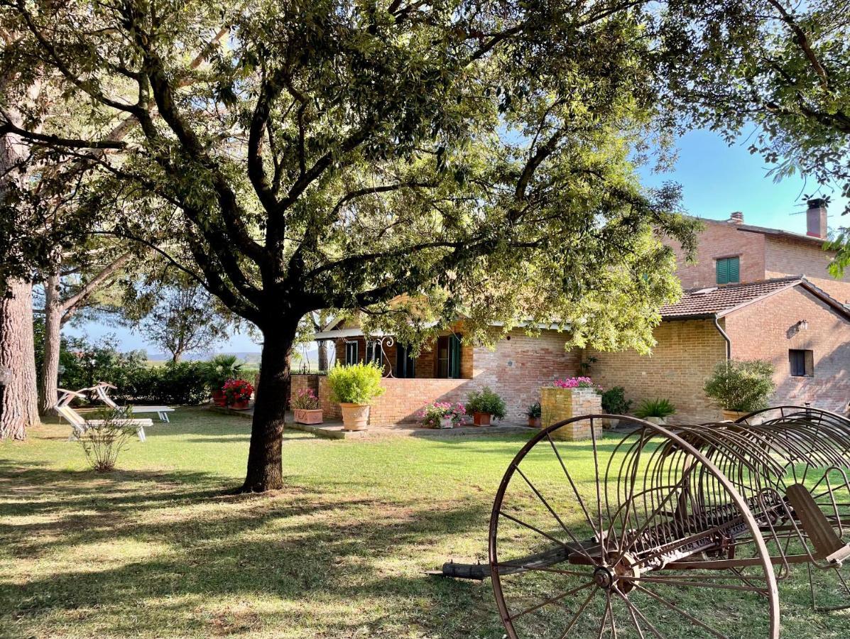 Agriturismo Salcino Grosseto Eksteriør billede