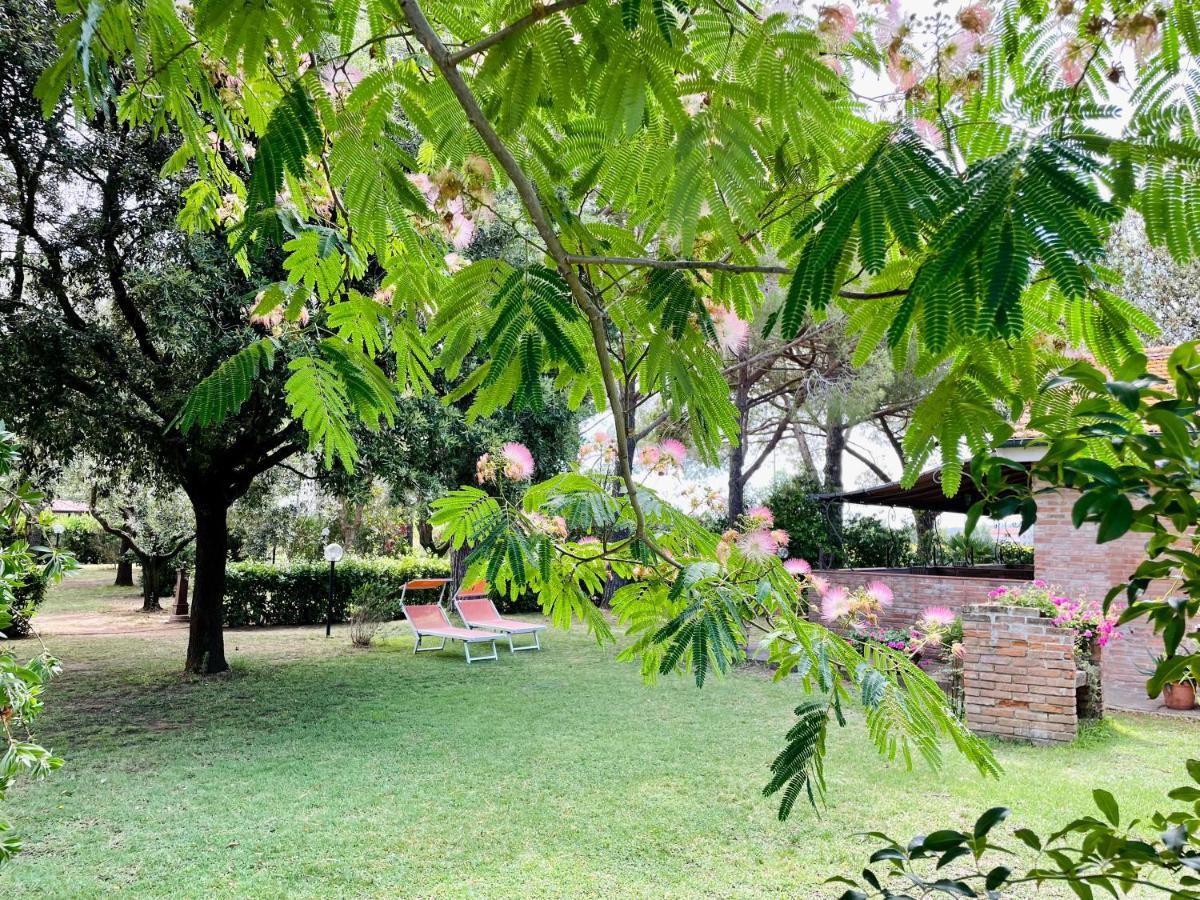 Agriturismo Salcino Grosseto Eksteriør billede