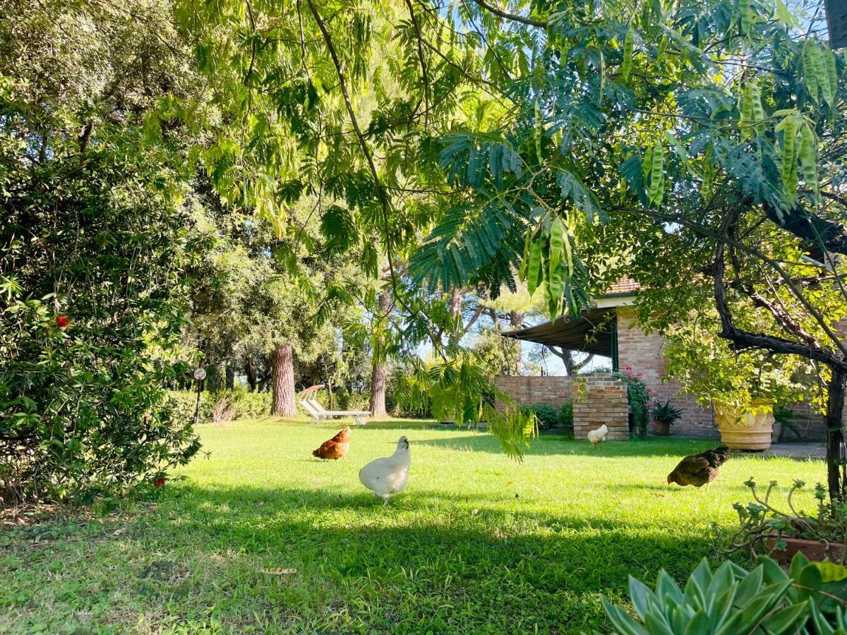 Agriturismo Salcino Grosseto Eksteriør billede