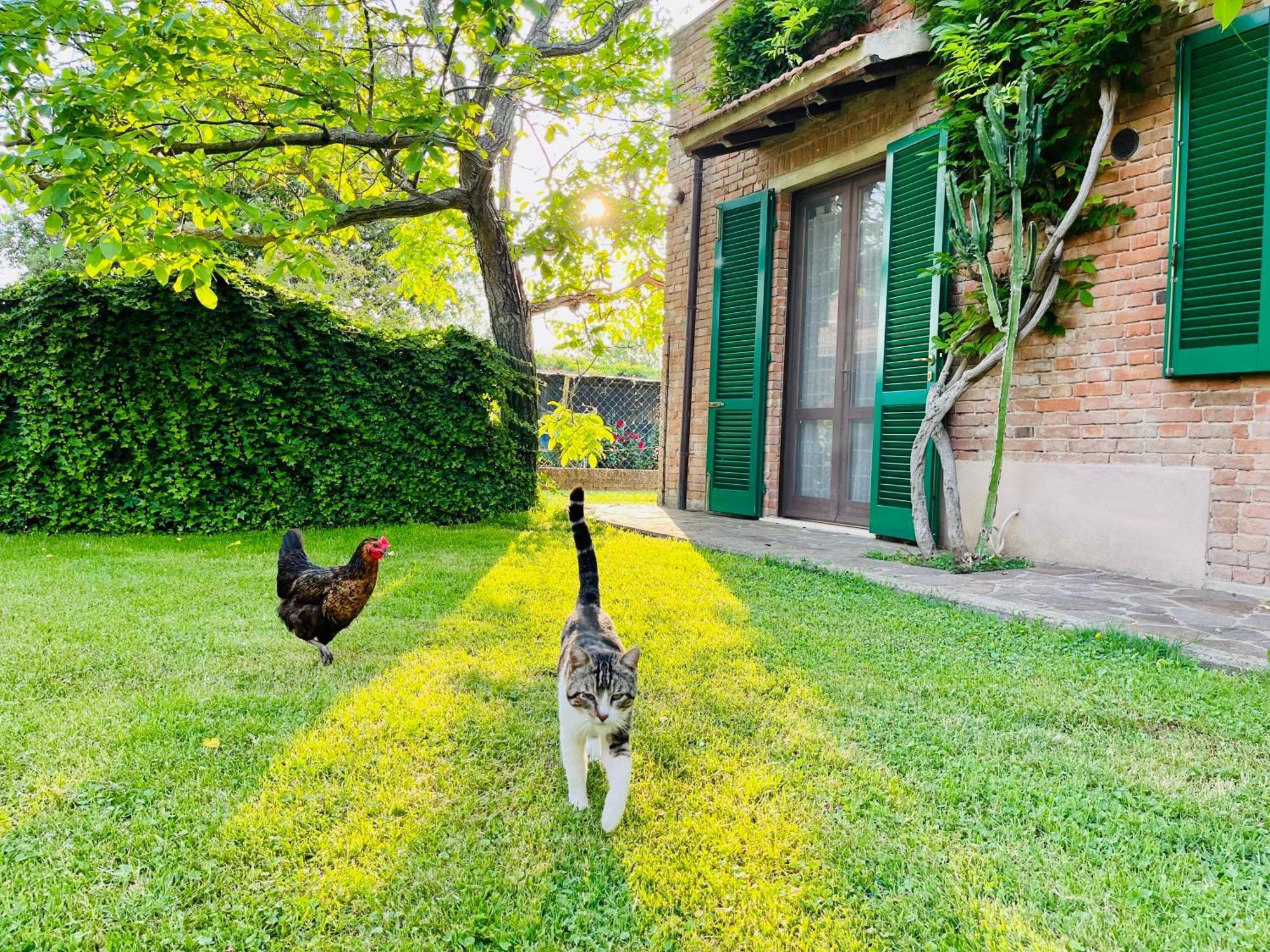 Agriturismo Salcino Grosseto Eksteriør billede