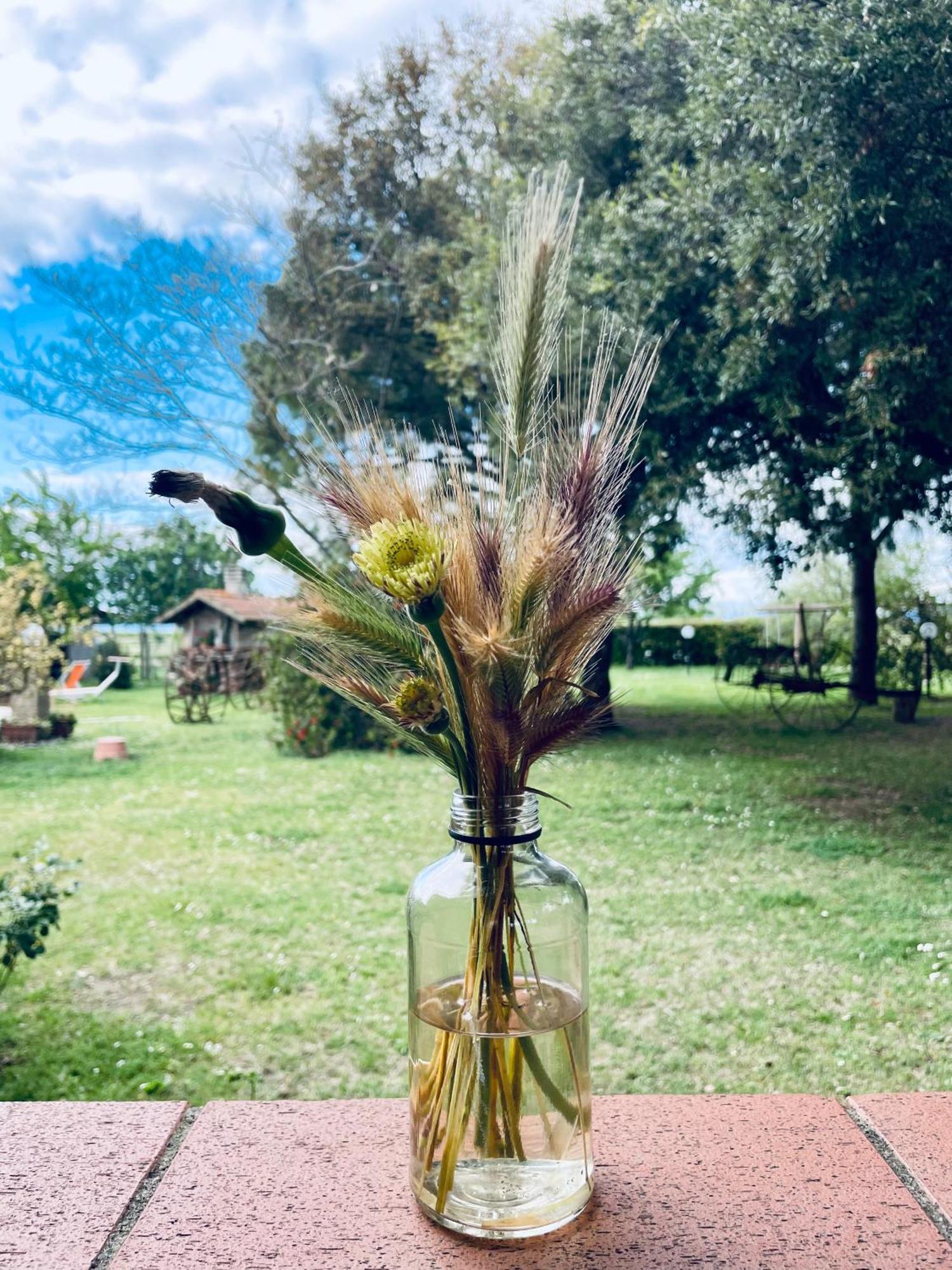 Agriturismo Salcino Grosseto Eksteriør billede