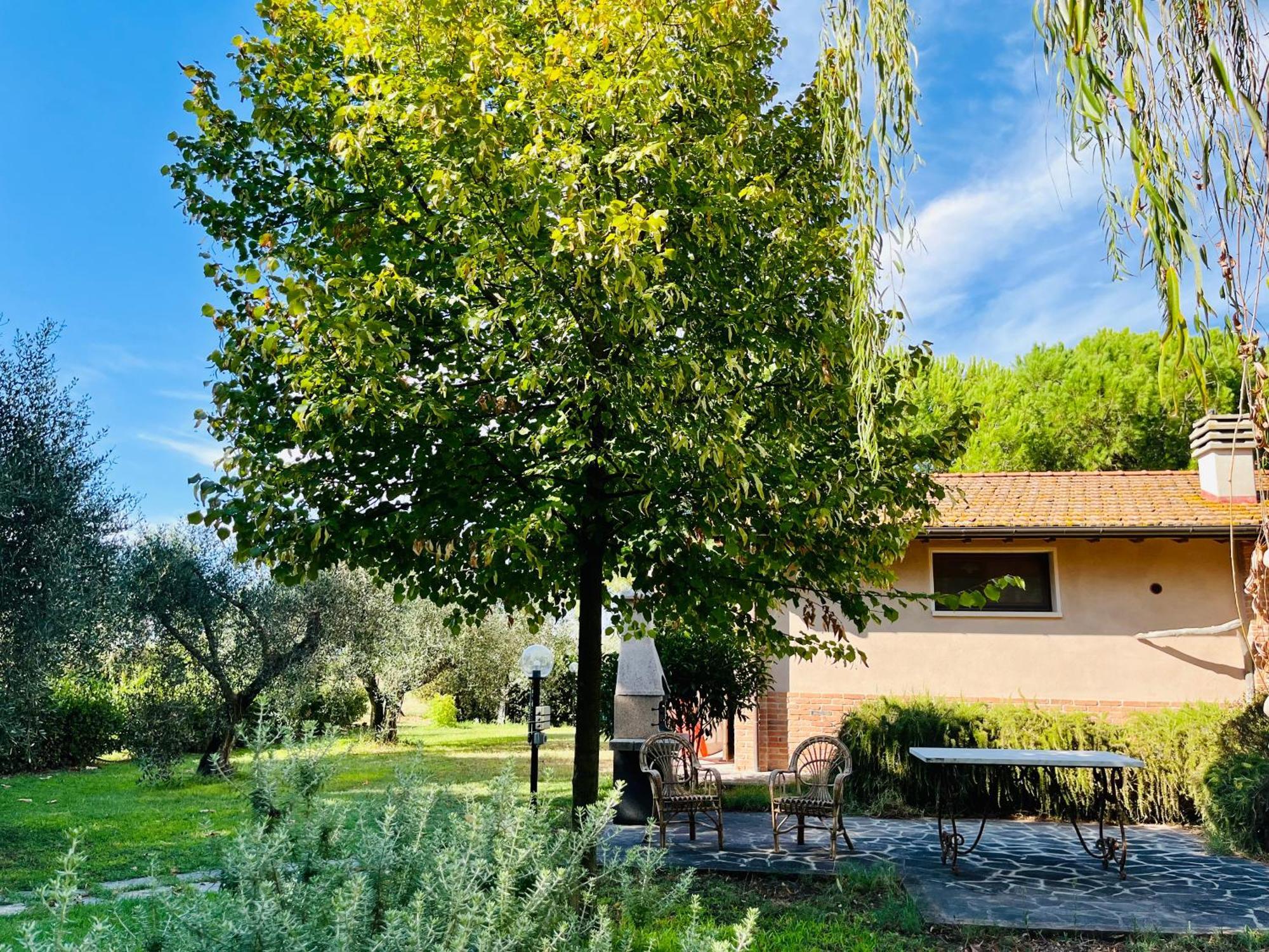 Agriturismo Salcino Grosseto Eksteriør billede