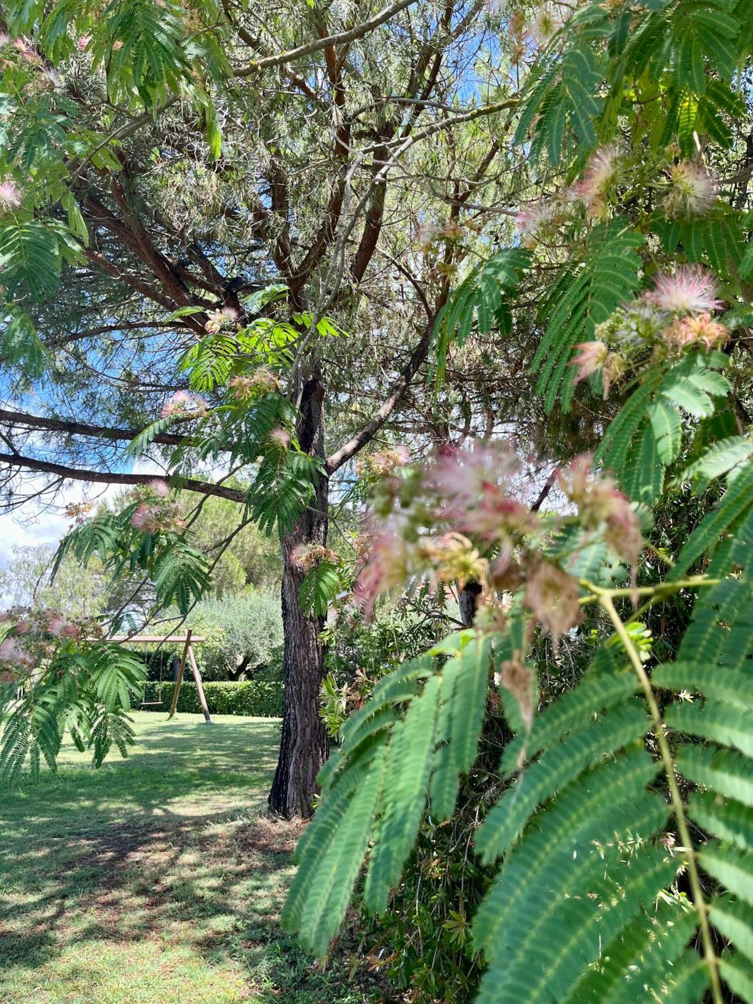 Agriturismo Salcino Grosseto Eksteriør billede
