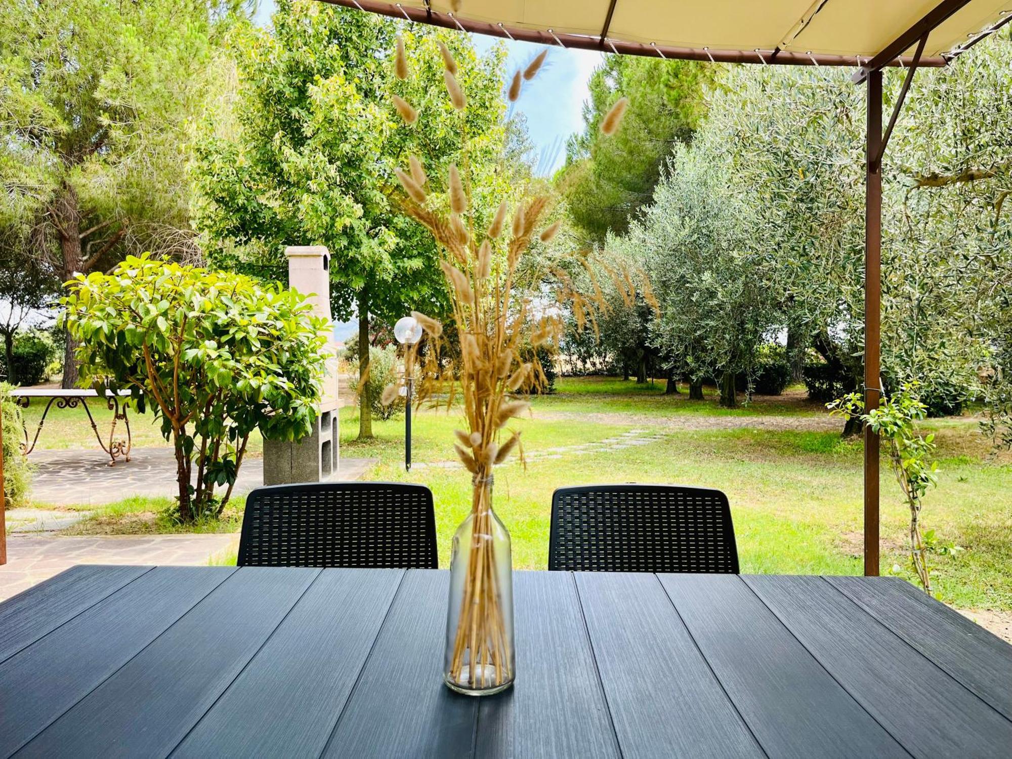 Agriturismo Salcino Grosseto Eksteriør billede